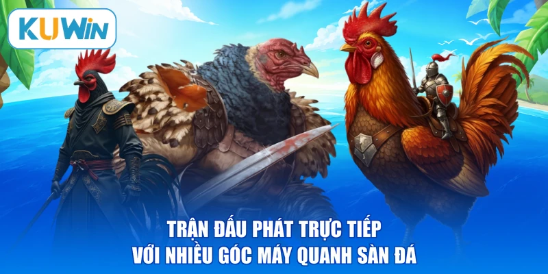 Trận đấu phát trực tiếp với nhiều góc máy quanh sàn đá